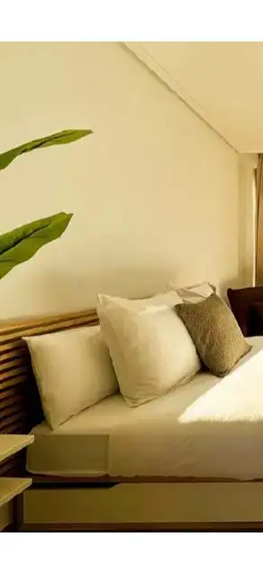 Vídeo del interior de la vivienda